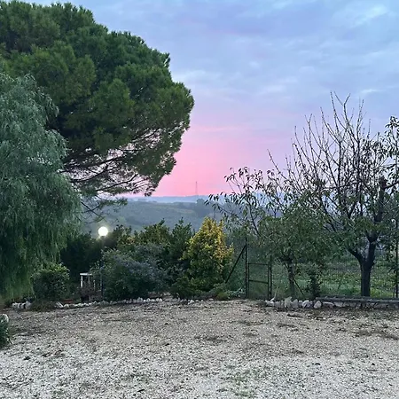 Pepe Rosa-3